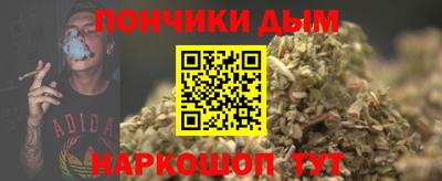 крисы Новозыбков